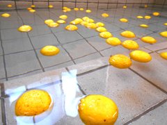 ゆず湯♨️🫠🛀◦°