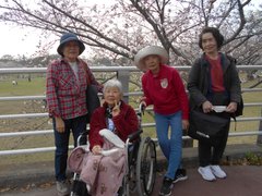 桜が見頃になりましたね♪🌸