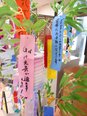 短冊🌟③