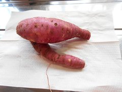 さつまいも試し掘りしました🍠✨④