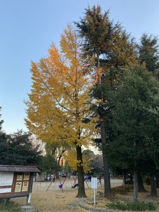 エクセレント杉並清水