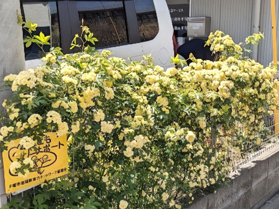 エクセレント湘南平塚