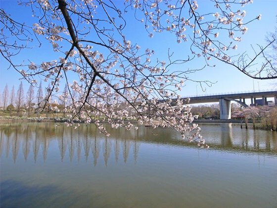 エクセレント城北公園前