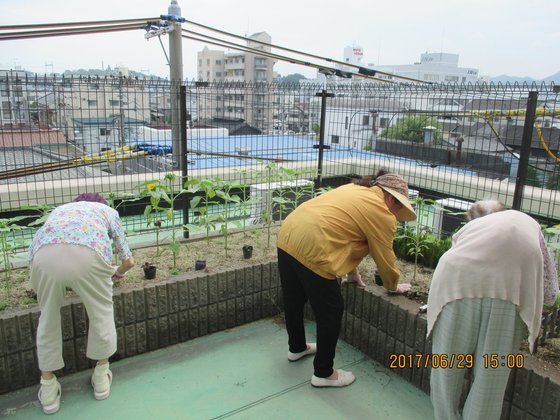 サンライフさくらひめじ
