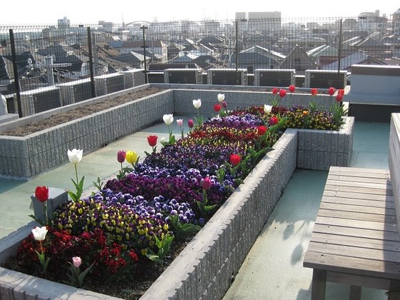 サンライフ住吉川