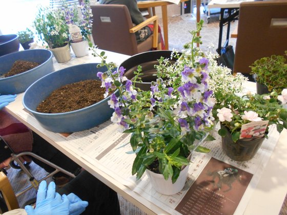 チャームスイート宝塚売布