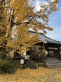 いこ和神戸大倉山の紹介『秋といえば紅葉』