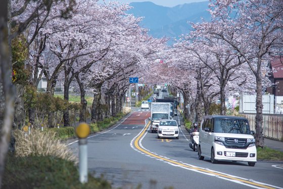 サンシティ神奈川