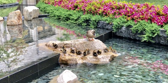 サンシティタワー神戸