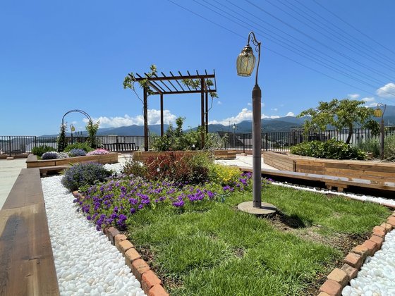 グランフォレスト小田原