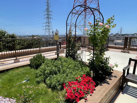 グランフォレスト小田原