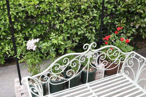 グランフォレスト南小岩