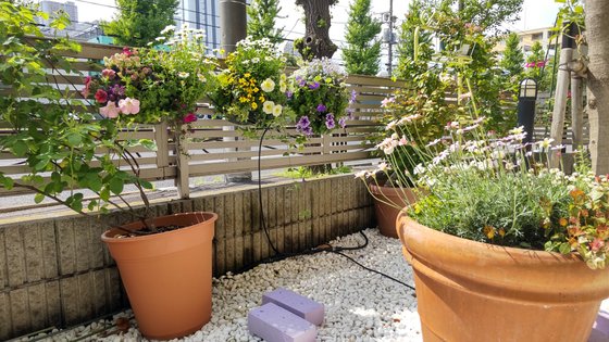 グランフォレスト武蔵小杉