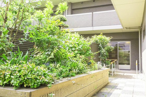 グランフォレスト目白