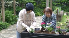 園芸クラブ