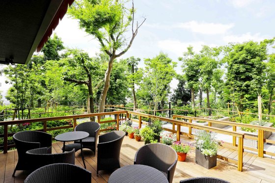 グランフォレスト神戸御影