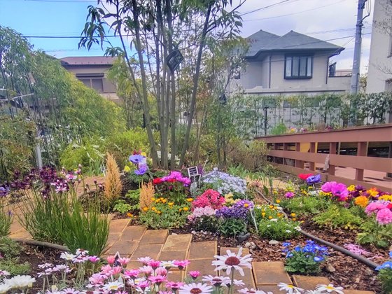 グランフォレスト練馬高松