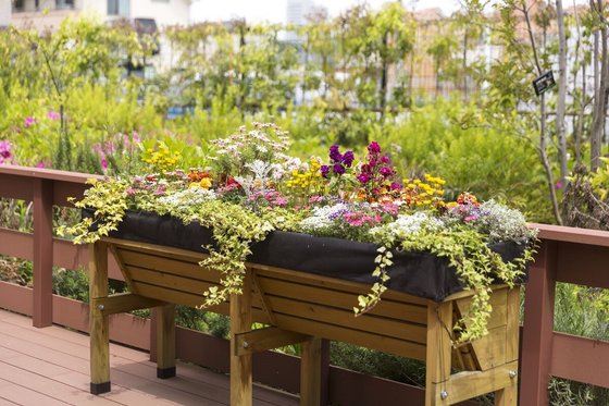 グランフォレスト練馬高松