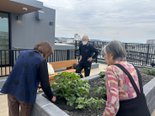 ほくほくじゃが芋