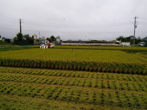ここあんすの家 ひまり館