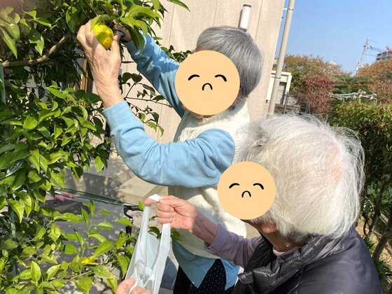 ソレイユ ねやがわ