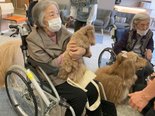 セラピードッグふれあい会🐶