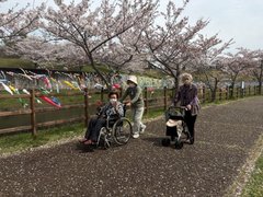 🌸お花見🌸