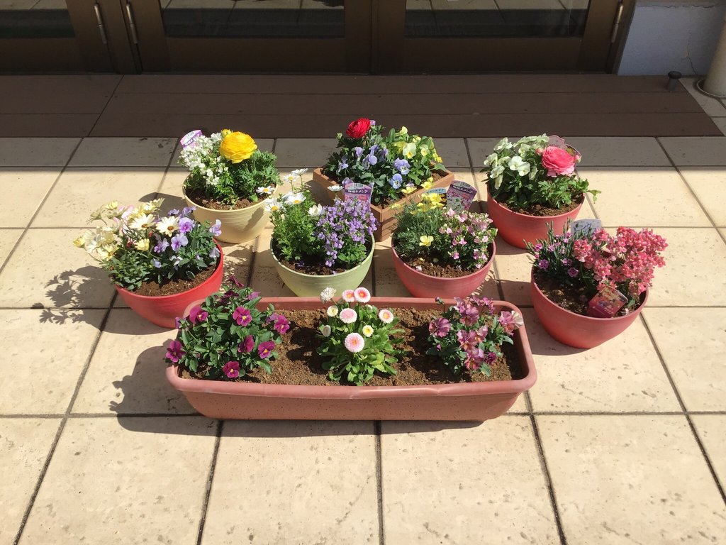 中庭にて寄せ植え2｜シニア町内会NARITA公津の杜(千葉県成田市