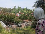 「鶴舞公園に行こう」
