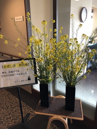 ささしま 菜の花畑 庄内川より お届け コンシェールささしま 名古屋市中村区 Lifull 介護