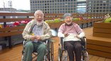 春風と青空と草花