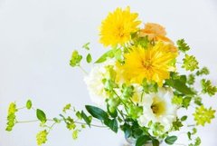 ご見学にお越しいただき、ありがとうございました。