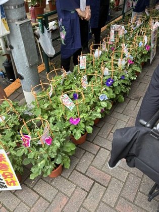 癒しの新宿北