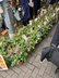 癒しの新宿北