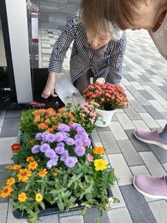 お花の植え替えと畑