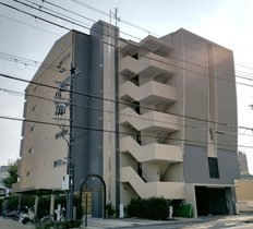 シオン桂