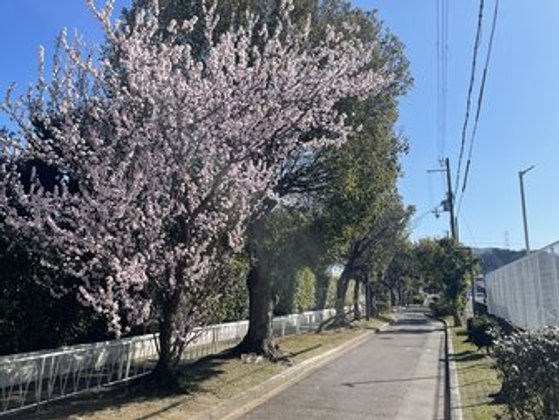 ルグラン和歌山