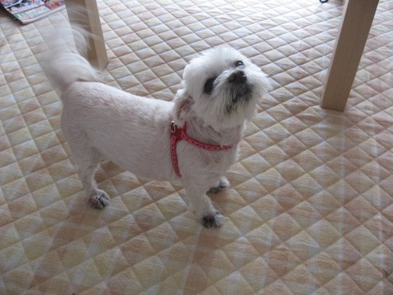 介護付き住宅みのり貝塚