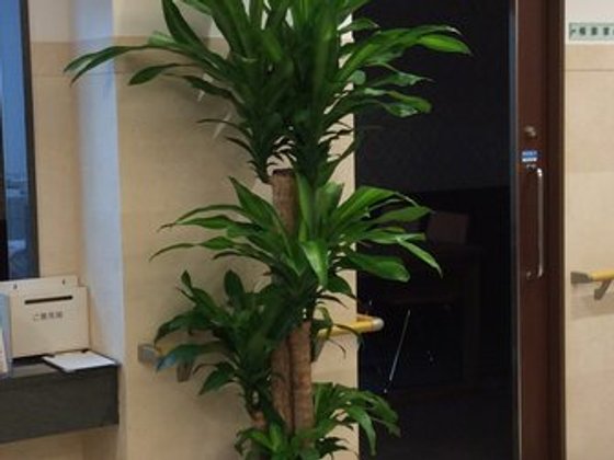 シンセリティ千代田一番町