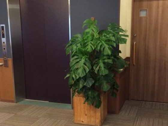 シンセリティ千代田一番町