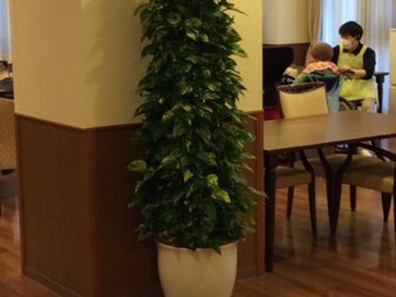 シンセリティ千代田一番町