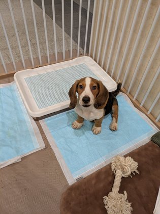 シンセリティ千代田一番町