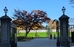 皇居外苑半蔵門園地