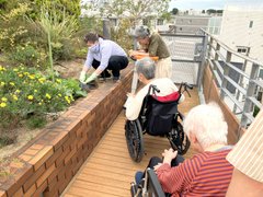 野菜の収穫&苗植え