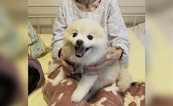 ヒューマンライフケア町田木曽ホスピスホーム