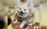 ヒューマンライフケア町田木曽ホスピスホーム