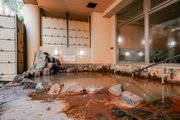 蓮田オークプラザ駅前温泉館