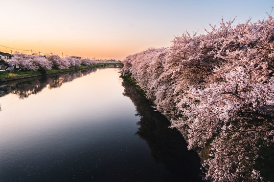 蓮田オークプラザ駅前温泉館
