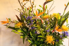 入居事例② 医療的ケアからの回復 ――褥瘡ケア、日々の暮らしの中で