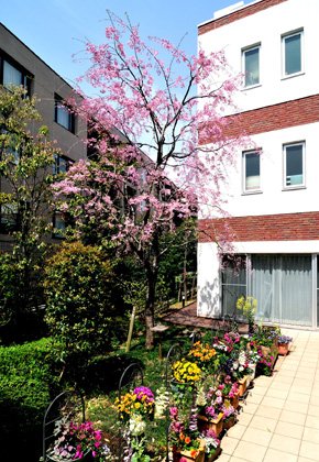 アライブ世田谷下馬